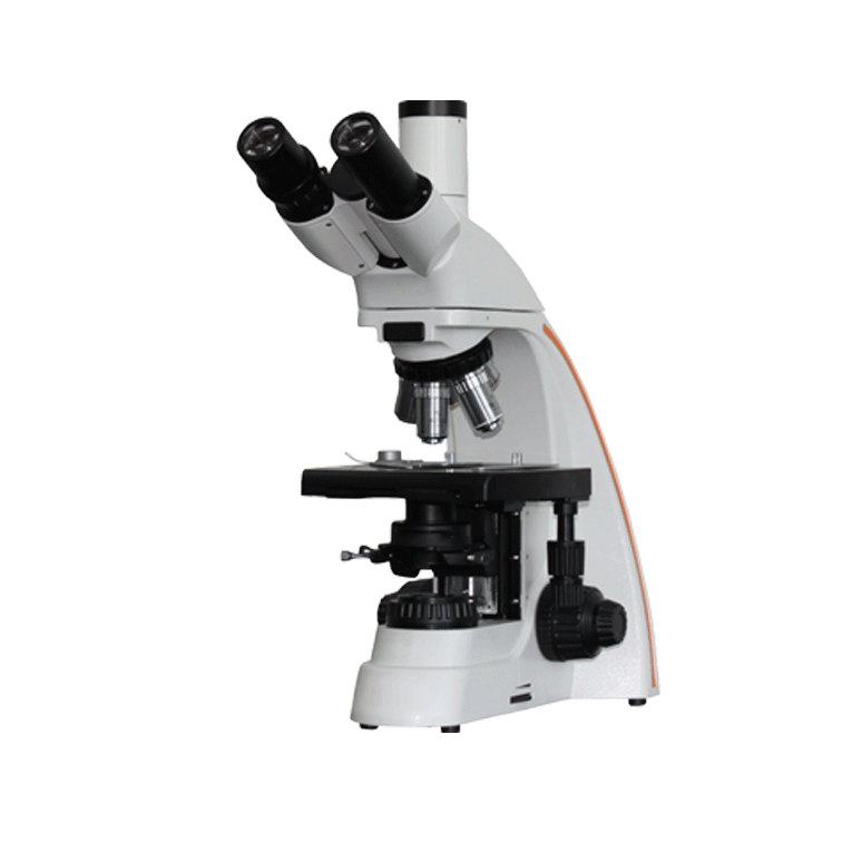 顯微鏡.png 顯微鏡.png