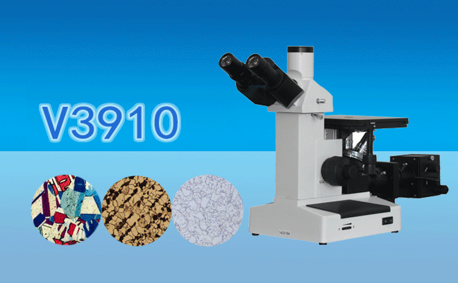 1657095373175386.png 金相.png