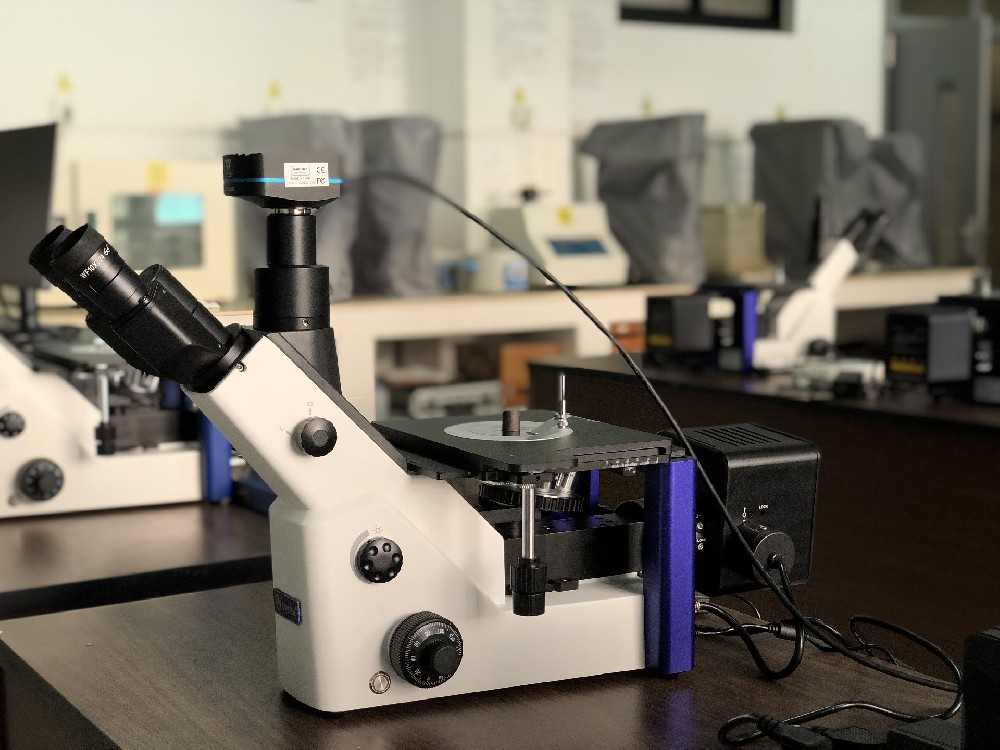 1668757226625281.jpg 1668757226625281.jpg