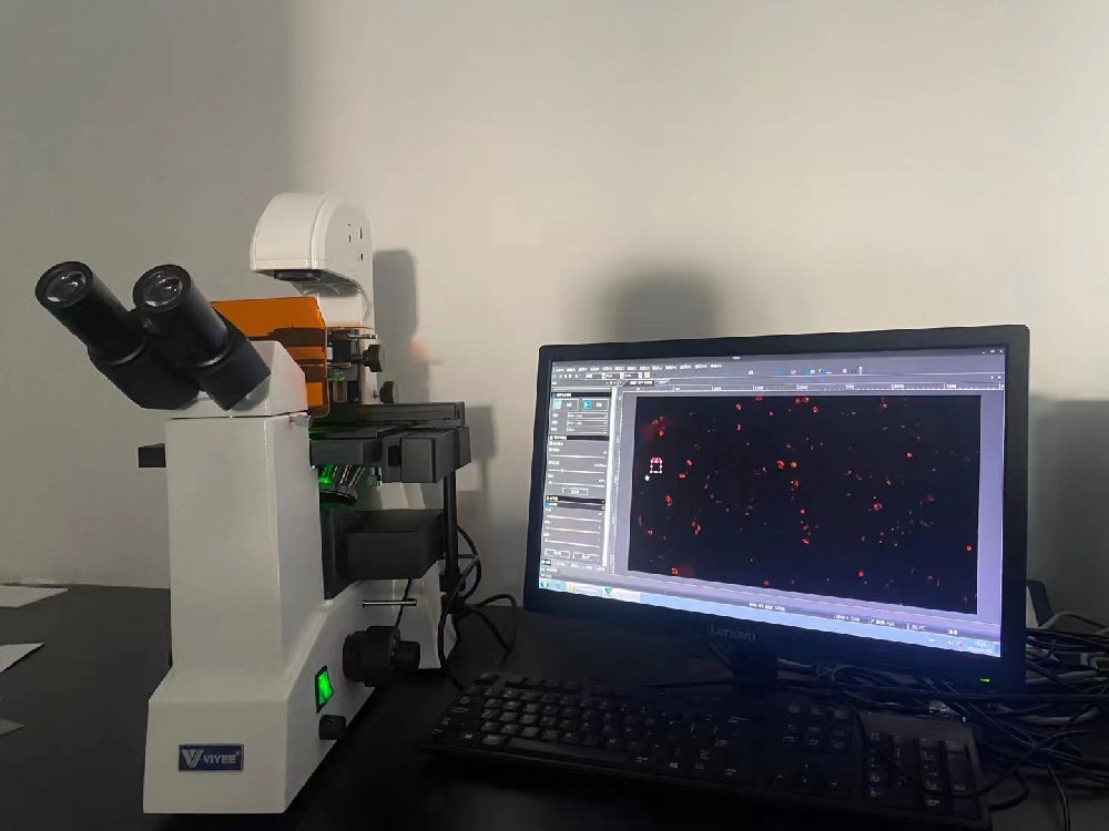 1667454693292255.png 1667454693292255.png