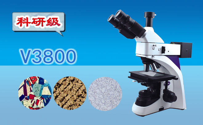 1684891981160413.png 金相顯微鏡.png